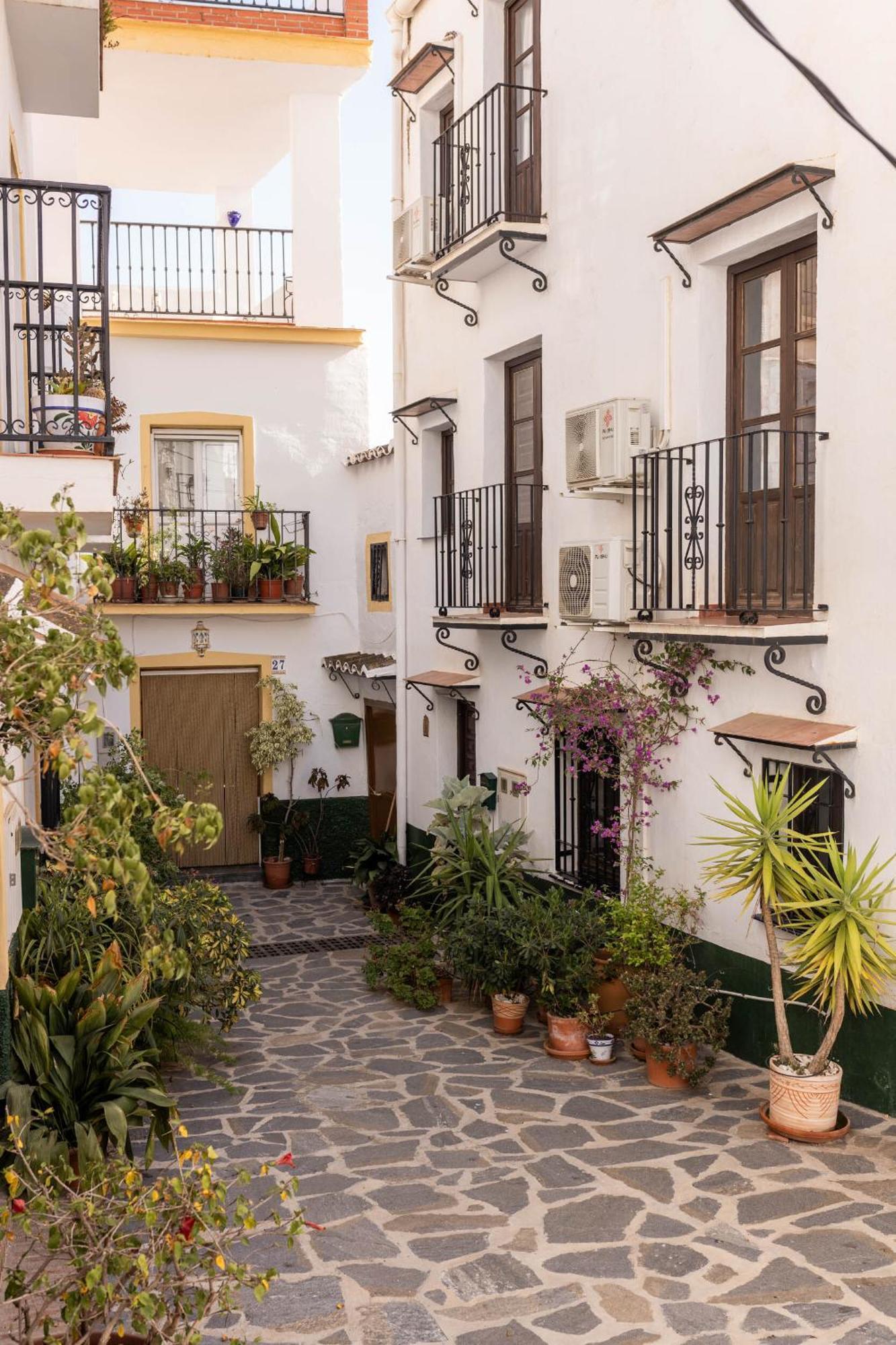 Olive & Ivy Guesthouse Canillas de Aceituno Exteriör bild